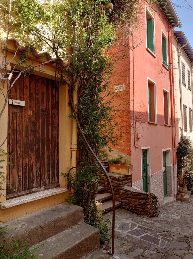 4Rb4 Appartement Type T2 Bord De Mer Acces Plage Direct Collioure Exterior foto