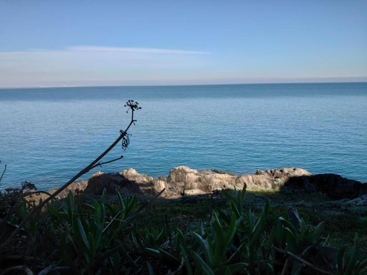 4Rb4 Appartement Type T2 Bord De Mer Acces Plage Direct Collioure Exterior foto